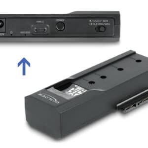 DELOCK docking station για M.2 NVMe/SATA ή 2.5"/3.5" SSD/HDD 64253, 10Gbps, μαύρο