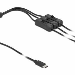 DELOCK καλώδιο USB Type-C σε 3x DC 5.5 x 2.1mm 86801, 1m, μαύρο