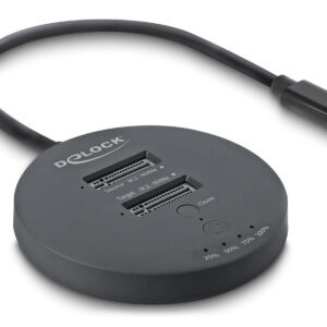 DELOCK docking station για M.2 NVMe PCIe SSD 64364, 2 θέσεων, 20Gbps, clone function, μαύρο