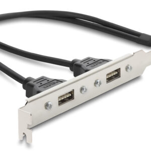DELOCK κάρτα επέκτασης USB 9pin σε 2x USB 2.0 91800, 480Mbps